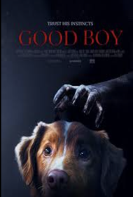 Good Boy