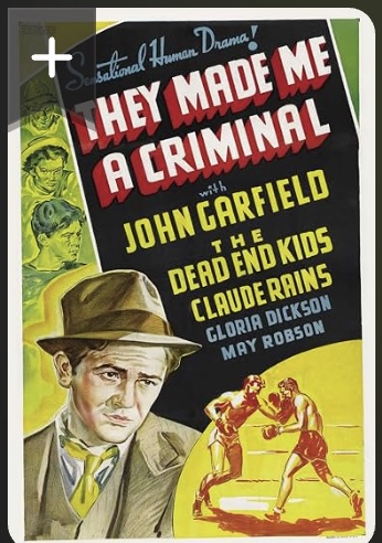 They Made Me a Criminal